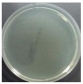 Sustainability 10 01123 i001