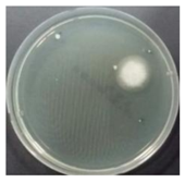 Sustainability 10 01123 i002