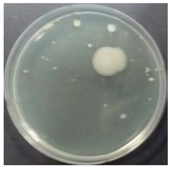 Sustainability 10 01123 i003