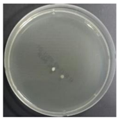 Sustainability 10 01123 i006