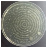 Sustainability 10 01123 i011