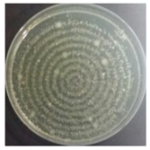 Sustainability 10 01123 i012