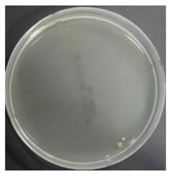 Sustainability 10 01123 i013