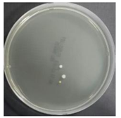 Sustainability 10 01123 i014