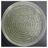 Sustainability 10 01123 i015