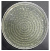 Sustainability 10 01123 i016