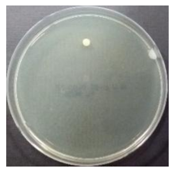 Sustainability 10 01123 i017