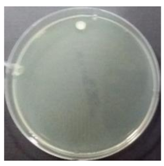 Sustainability 10 01123 i018