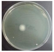 Sustainability 10 01123 i021