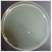 Sustainability 10 01123 i022