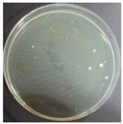 Sustainability 10 01123 i023