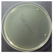 Sustainability 10 01123 i025