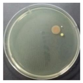 Sustainability 10 01123 i026