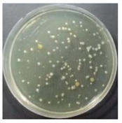 Sustainability 10 01123 i027