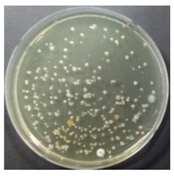 Sustainability 10 01123 i028