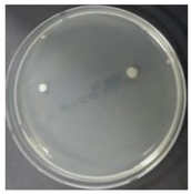 Sustainability 10 01123 i030