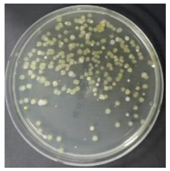 Sustainability 10 01123 i032