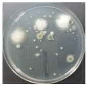 Sustainability 10 01123 i034