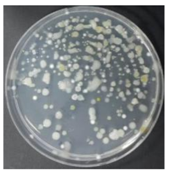 Sustainability 10 01123 i039