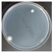 Sustainability 10 01123 i042