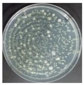 Sustainability 10 01123 i043