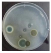 Sustainability 10 01123 i046