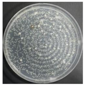 Sustainability 10 01123 i047