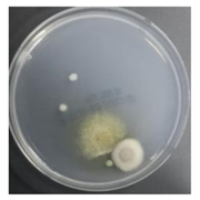 Sustainability 10 01123 i053