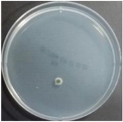 Sustainability 10 01123 i057