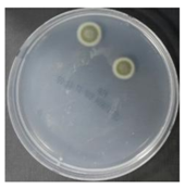 Sustainability 10 01123 i061