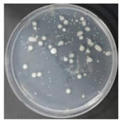 Sustainability 10 01123 i063