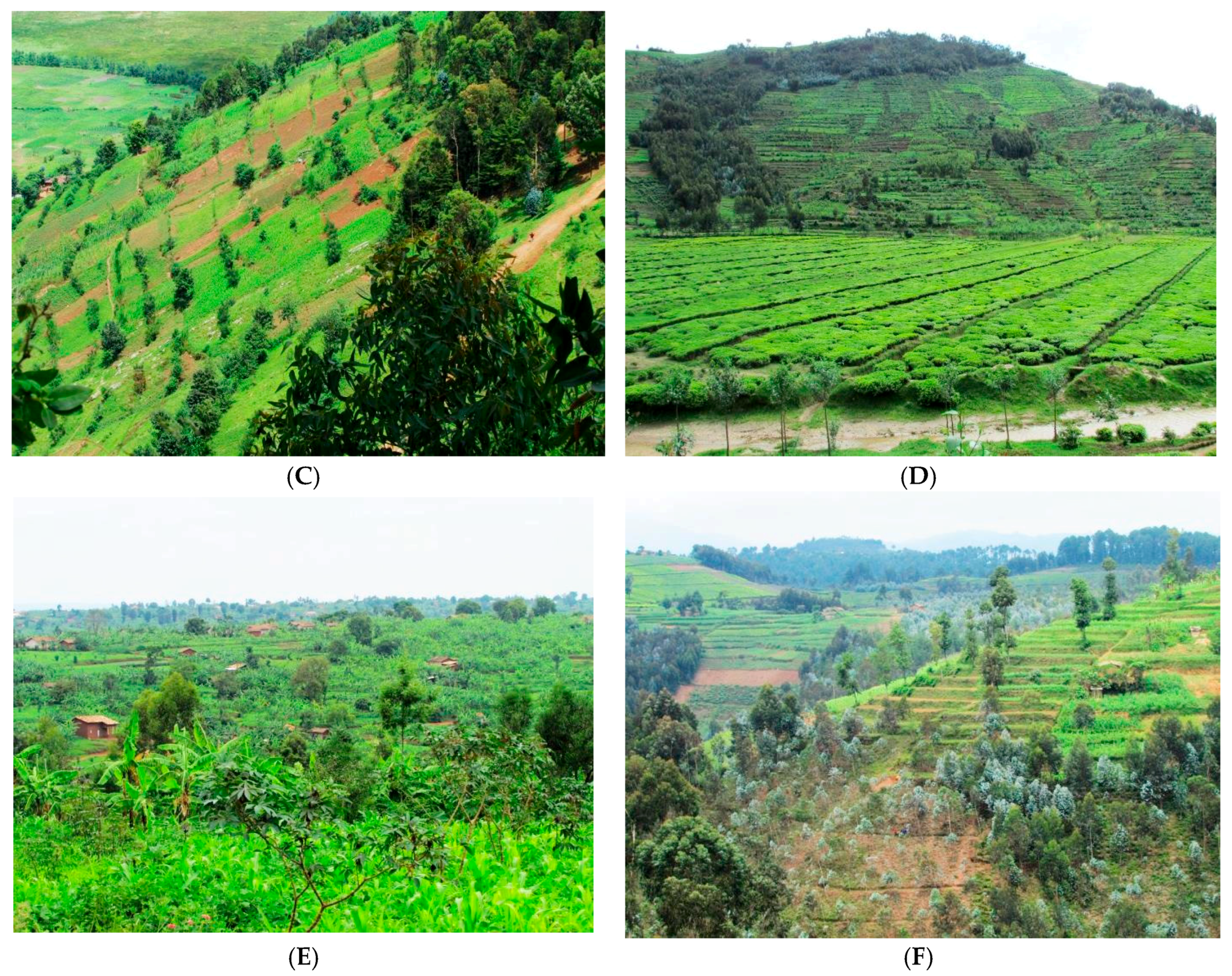 Sustainability 10 01360 g003b