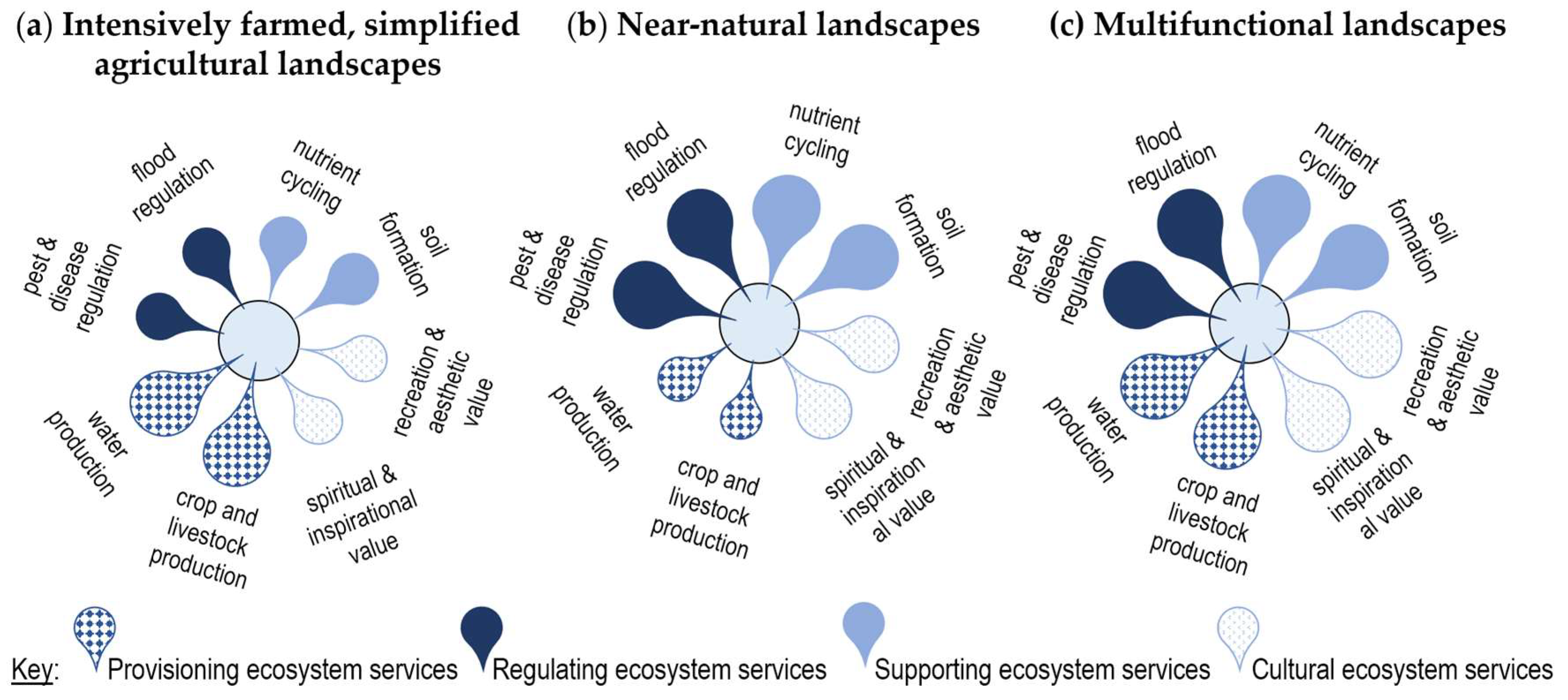 Sustainability 10 01434 g001