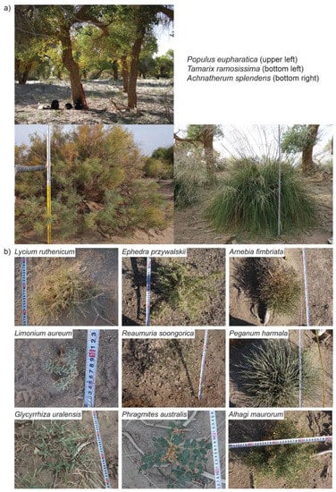 Sustainability 10 01471 g0a2 550