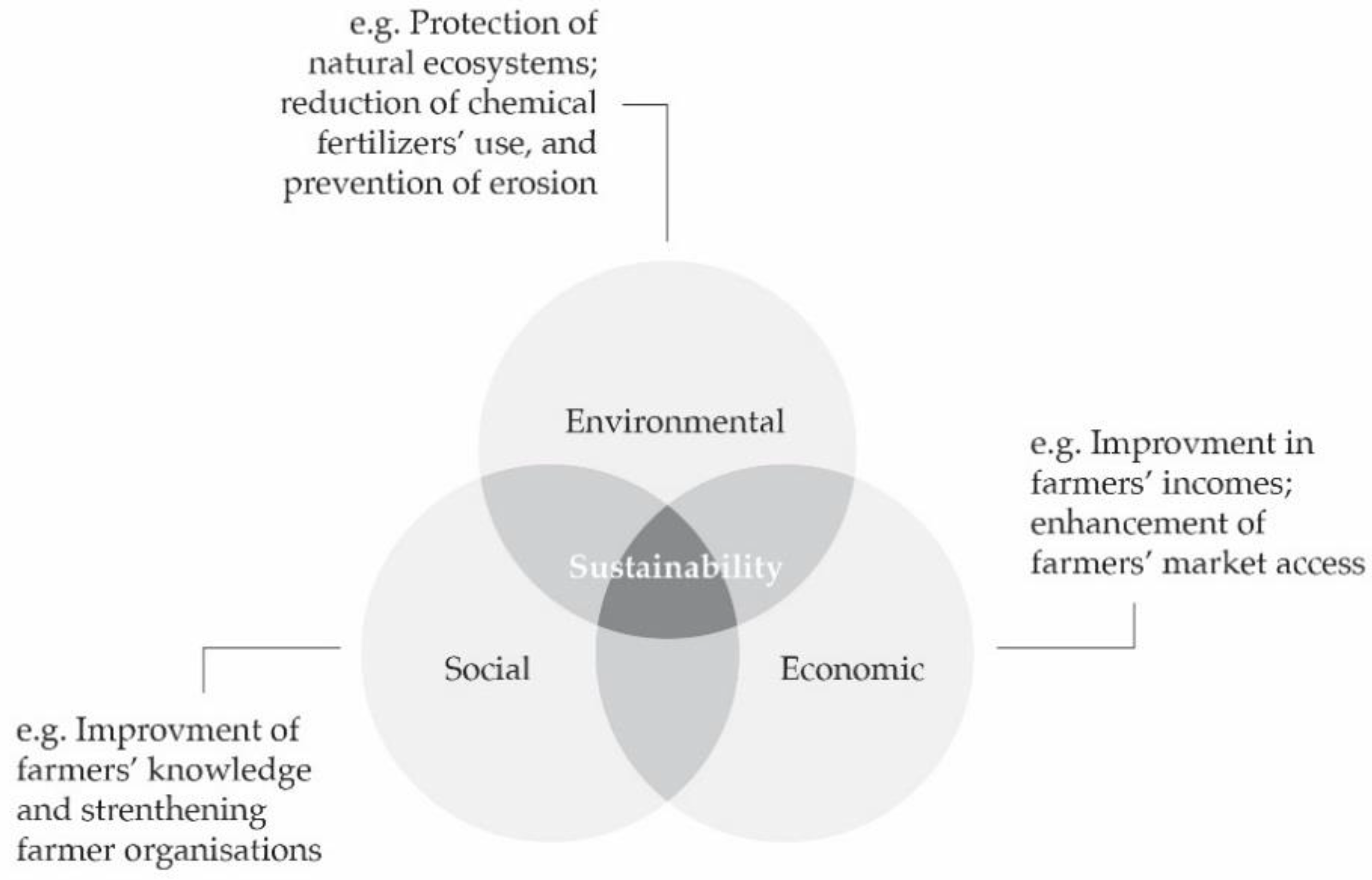 Sustainability 10 01551 g001