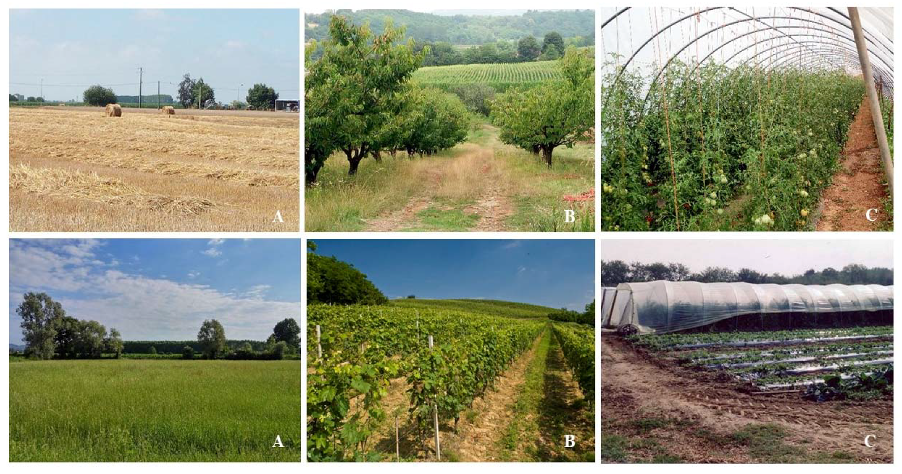 Sustainability 10 01625 g002