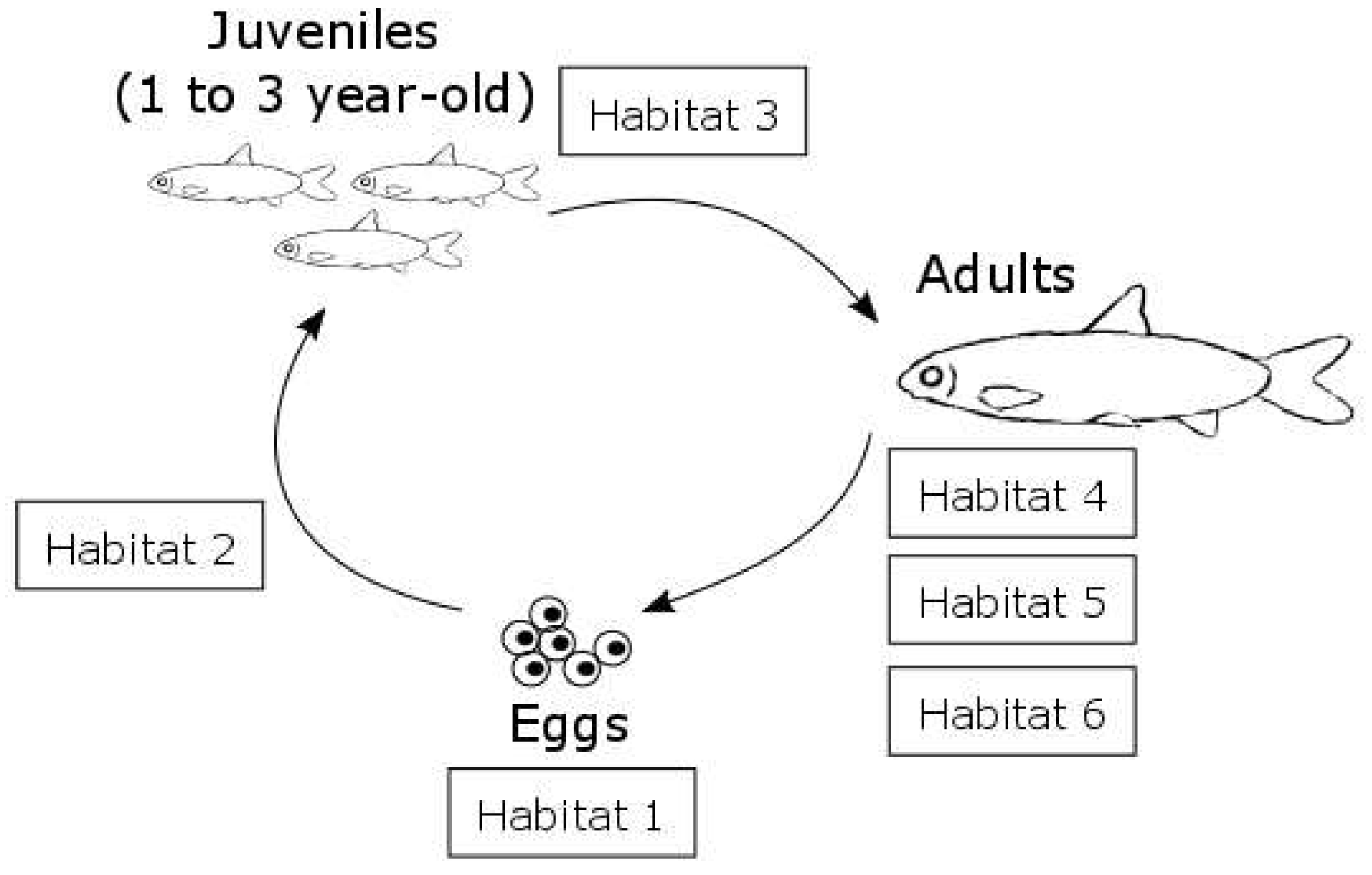 Sustainability 10 01747 g005