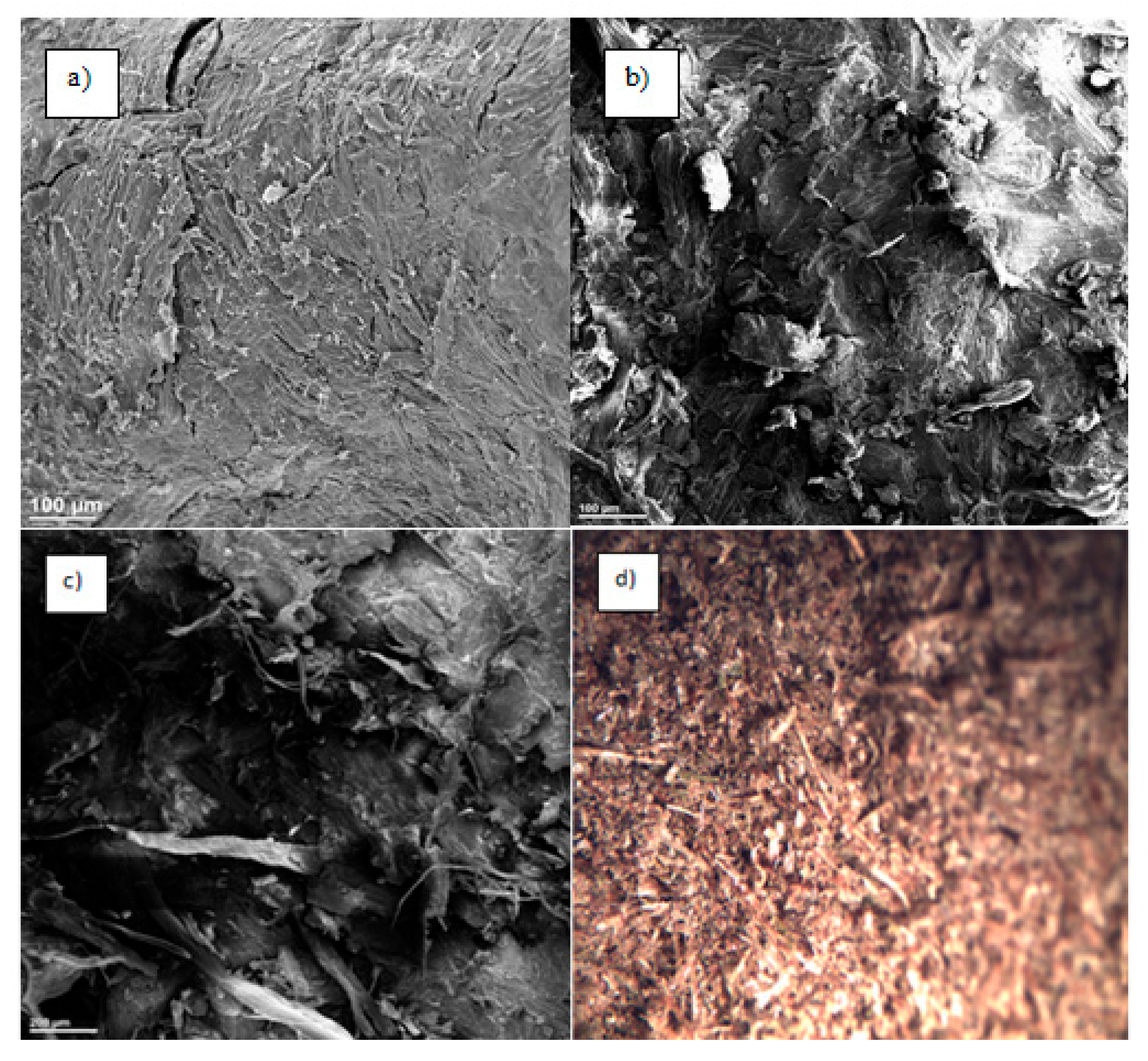 Sustainability 10 01770 g005