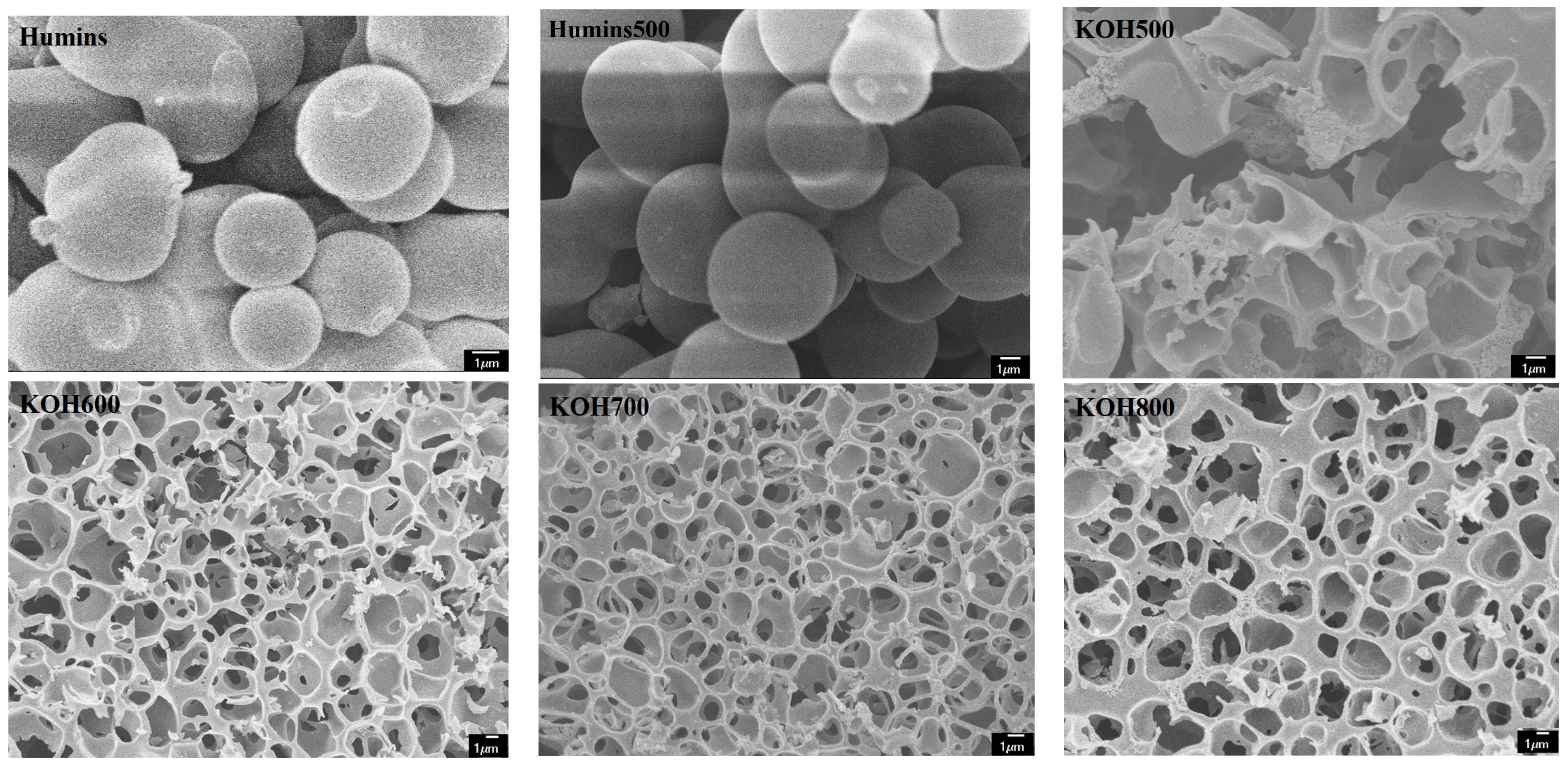 Sustainability 10 01795 g001a