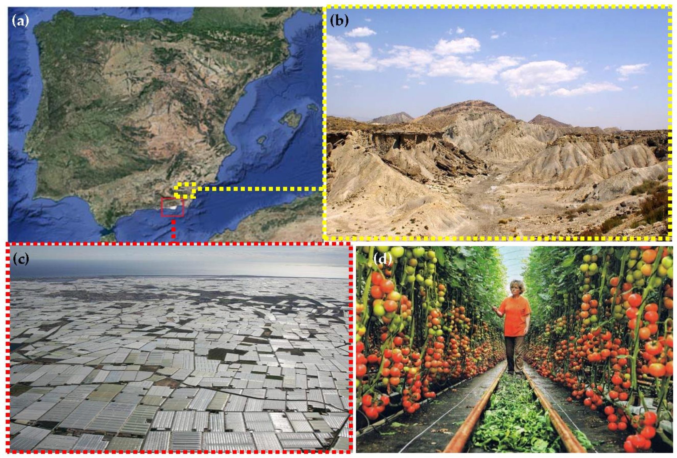 Sustainability 10 01820 g007