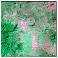 Sustainability 10 01860 i001