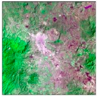 Sustainability 10 01860 i002