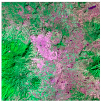 Sustainability 10 01860 i003