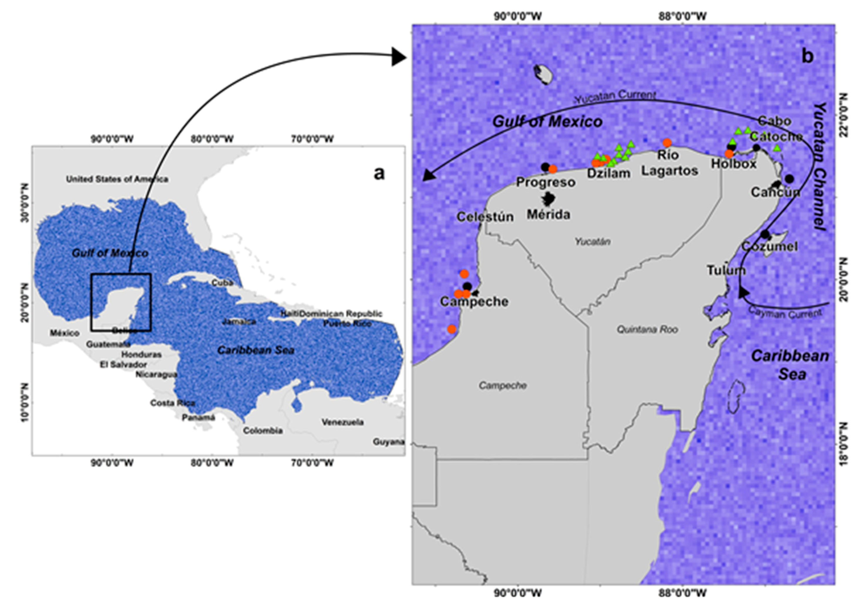 Sustainability 10 01894 g001
