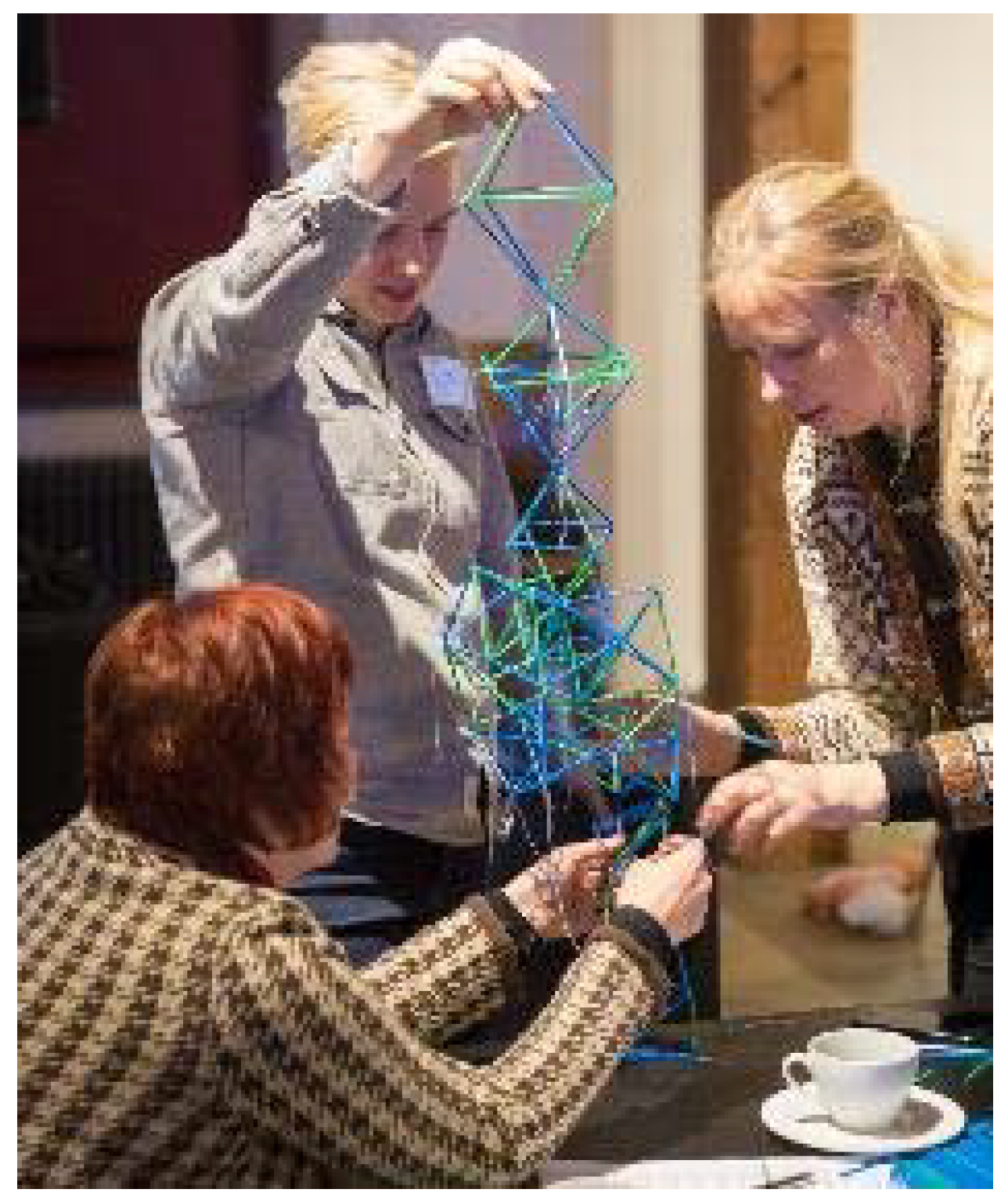 Sustainability 10 01907 g002