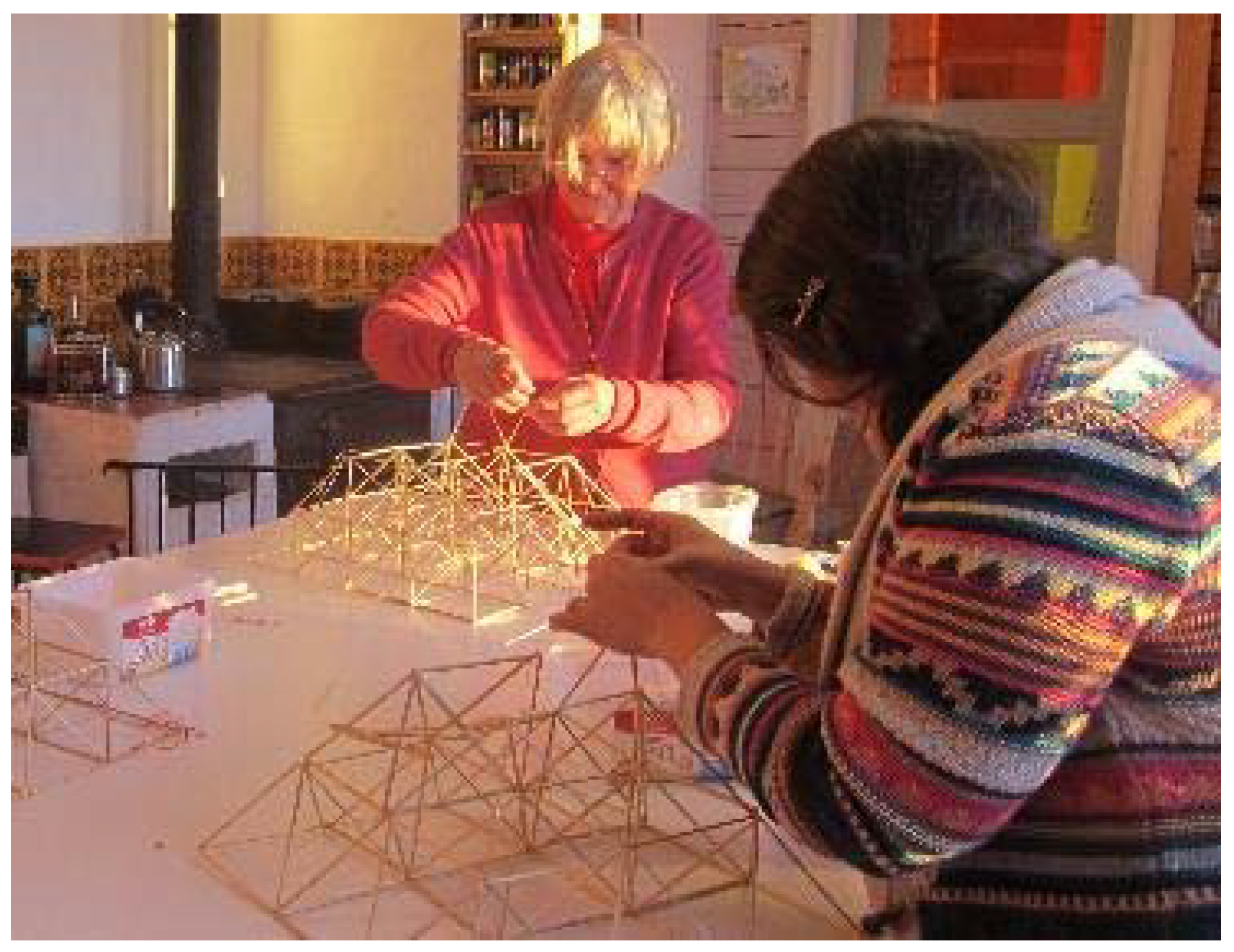 Sustainability 10 01907 g003