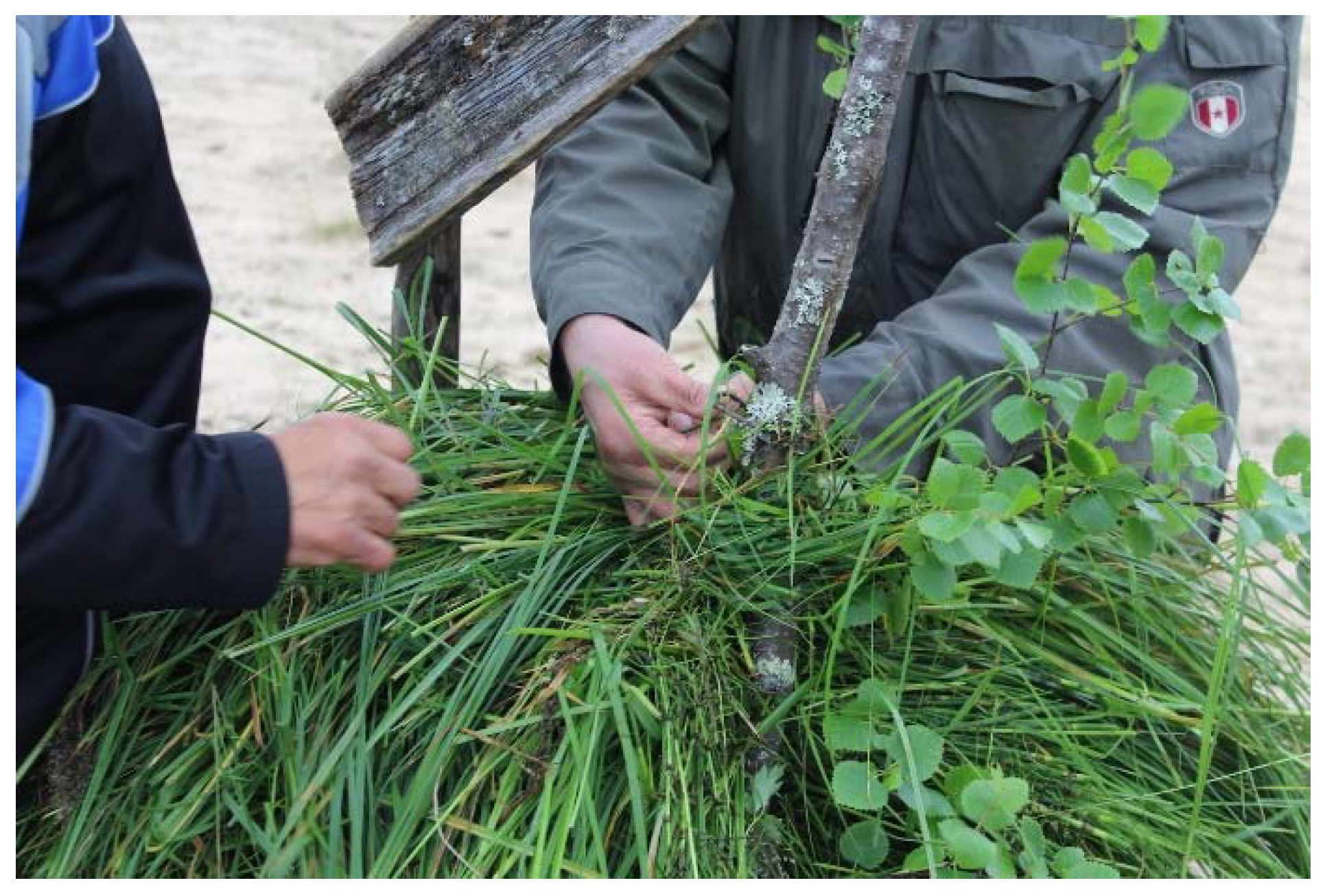 Sustainability 10 01907 g004