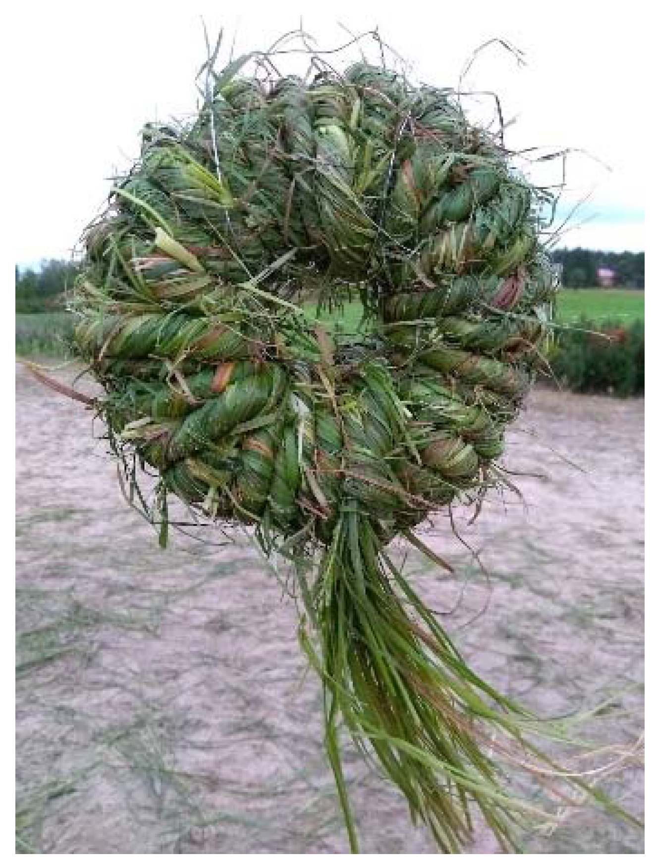 Sustainability 10 01907 g005