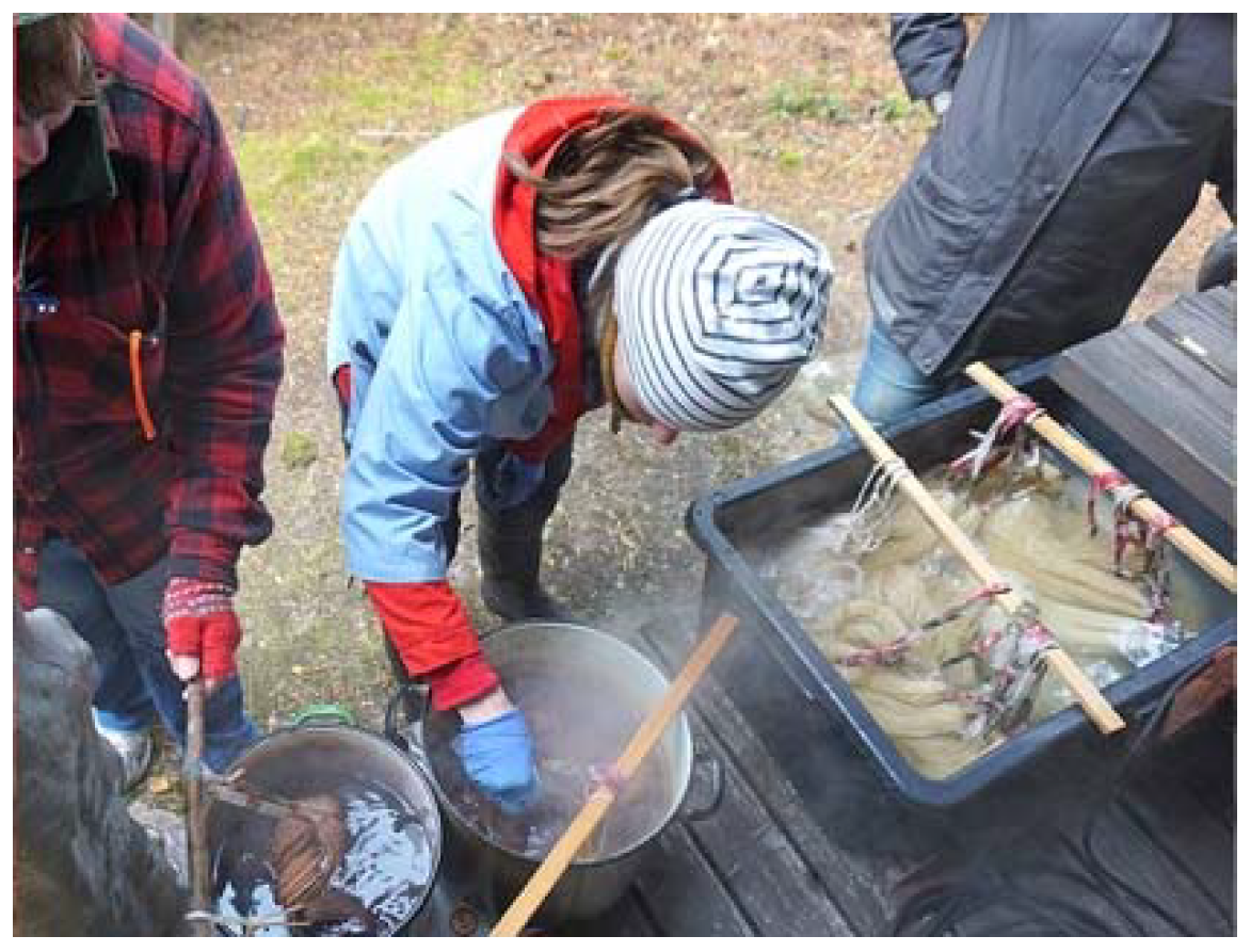 Sustainability 10 01907 g007