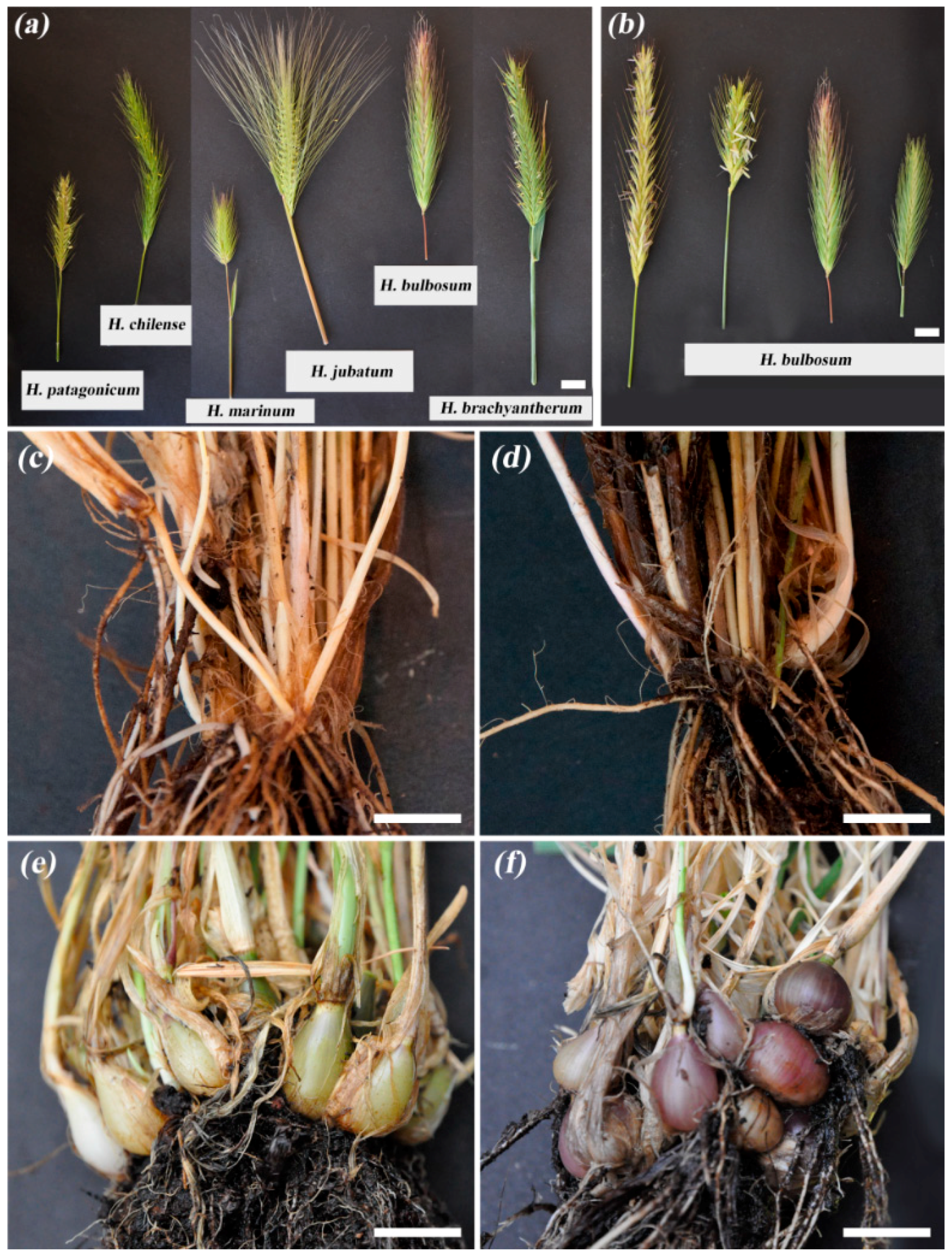 Sustainability 10 01969 g005